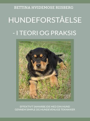 cover image of Hundeforståelse